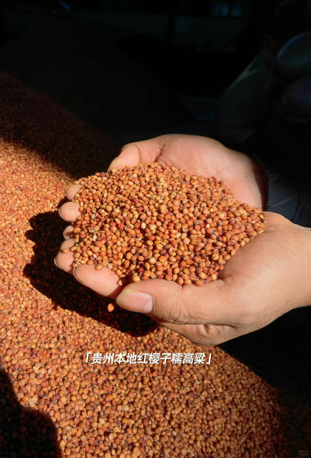 好粮酿好酒