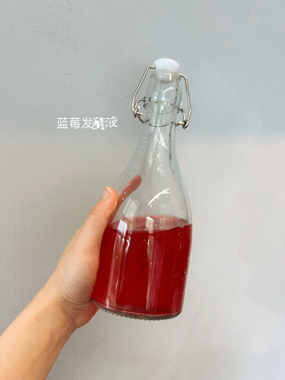 夏天快乐+10000，蓝莓发酵液做起来