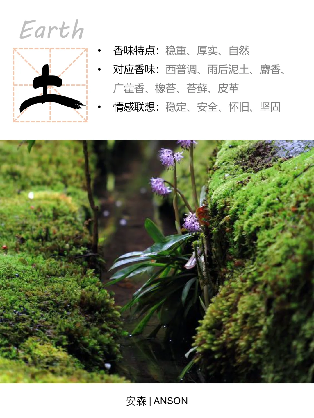 找到自己的喜用香?瞬间提升气场