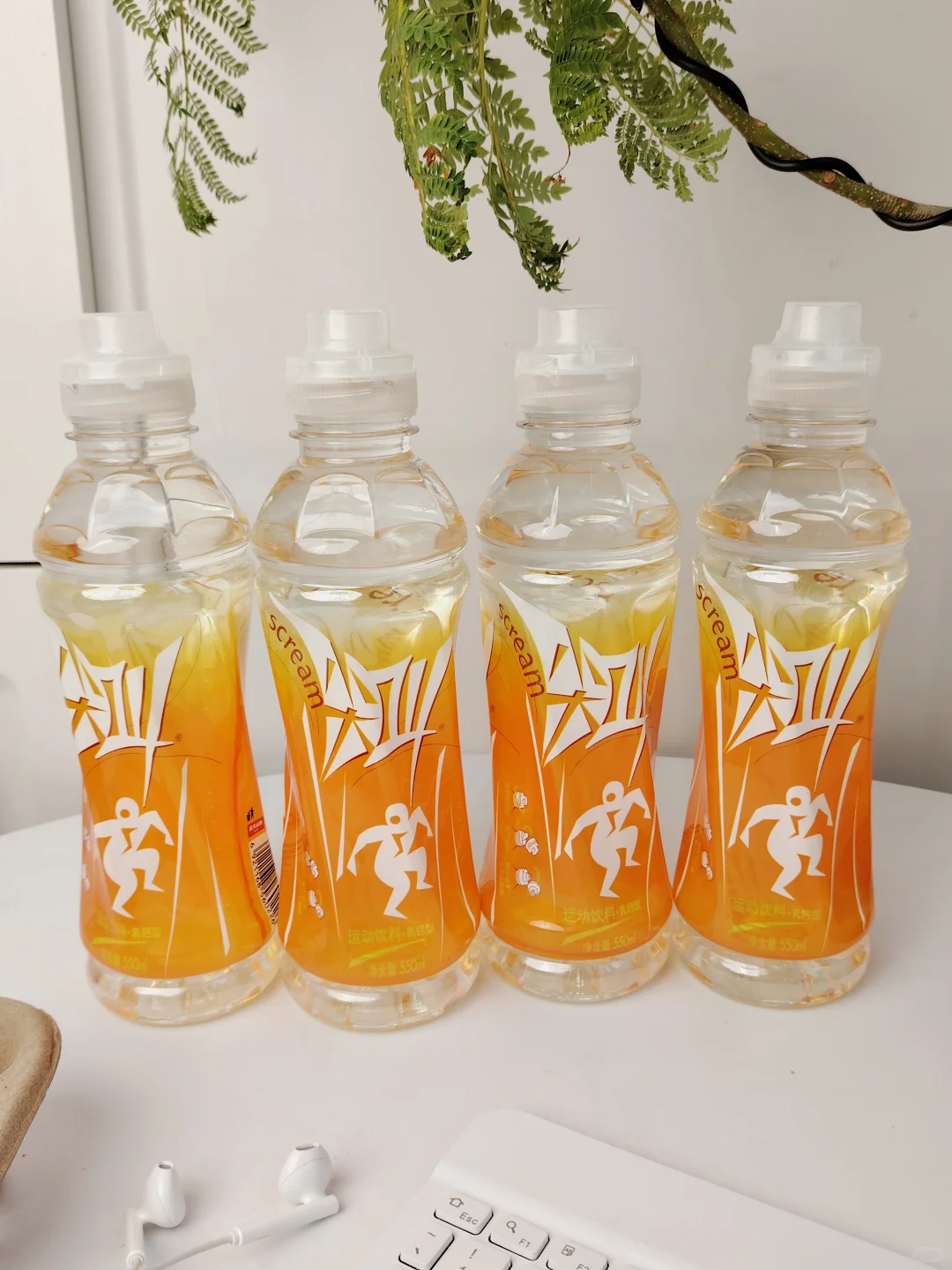 这瓶橙尖叫，成了我们舞蹈队的团宠