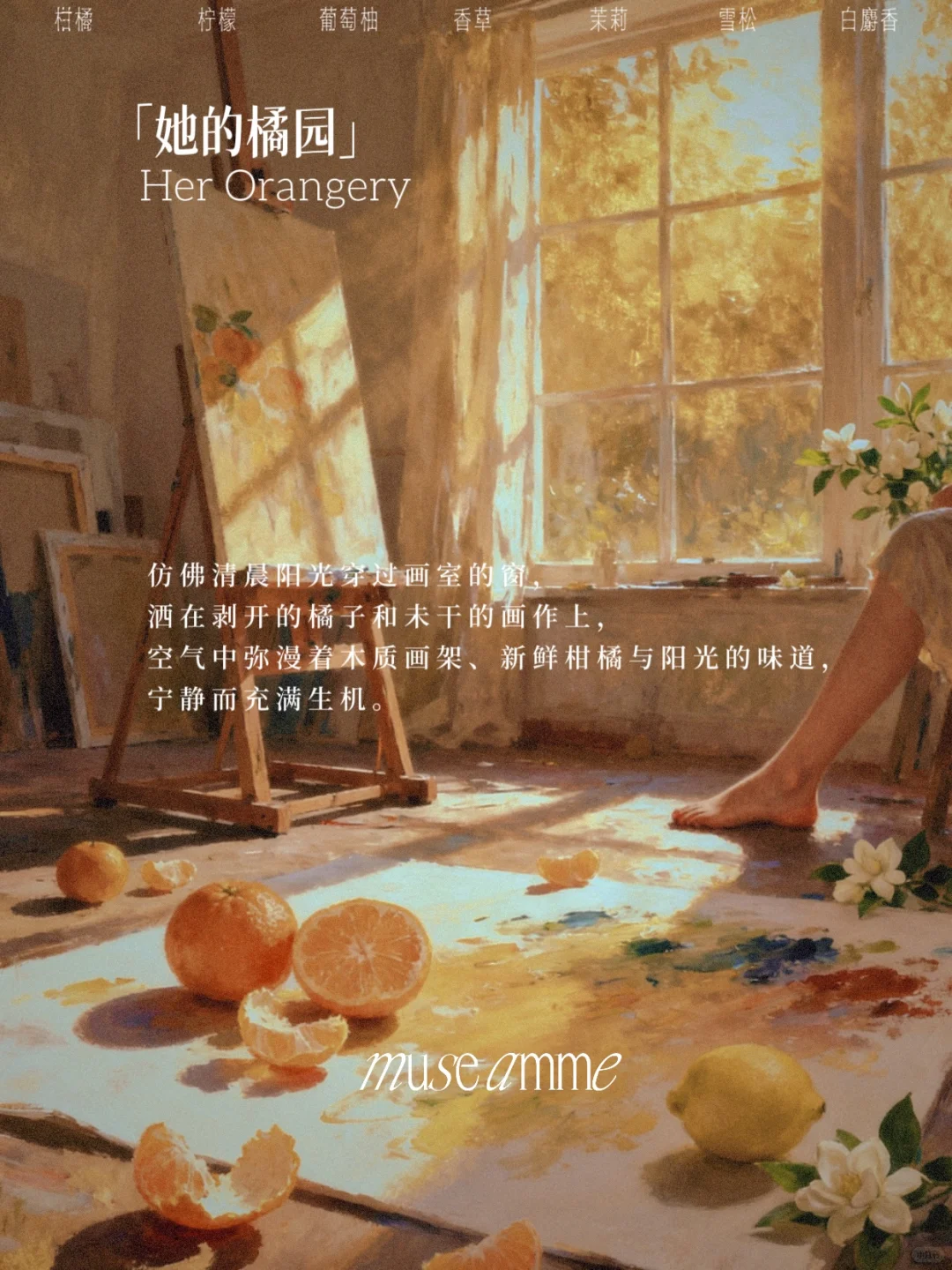 和缪斯的香型盲选之旅开始啦～