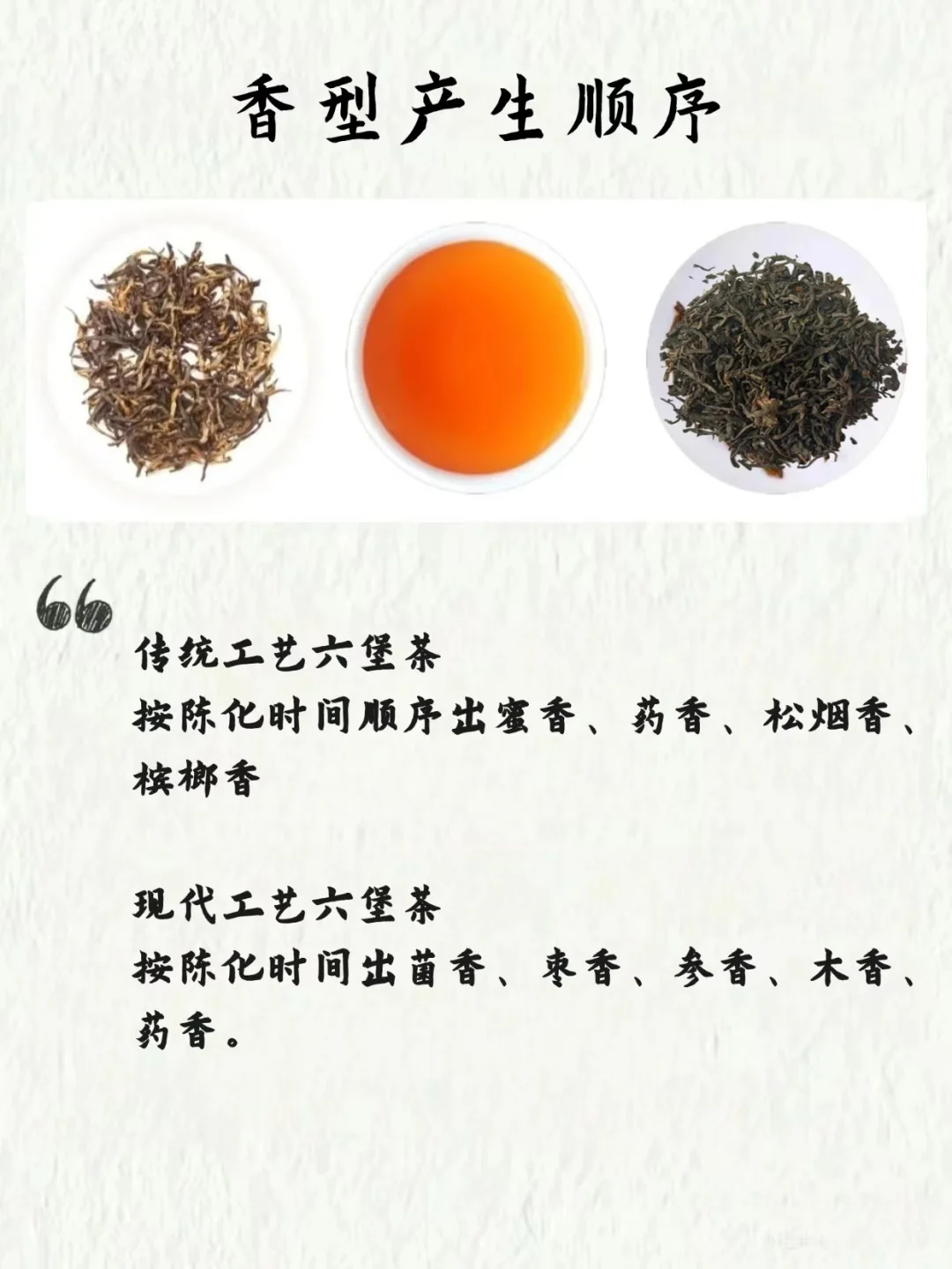 盘点六堡茶常见的几种香型，你喝过几种？