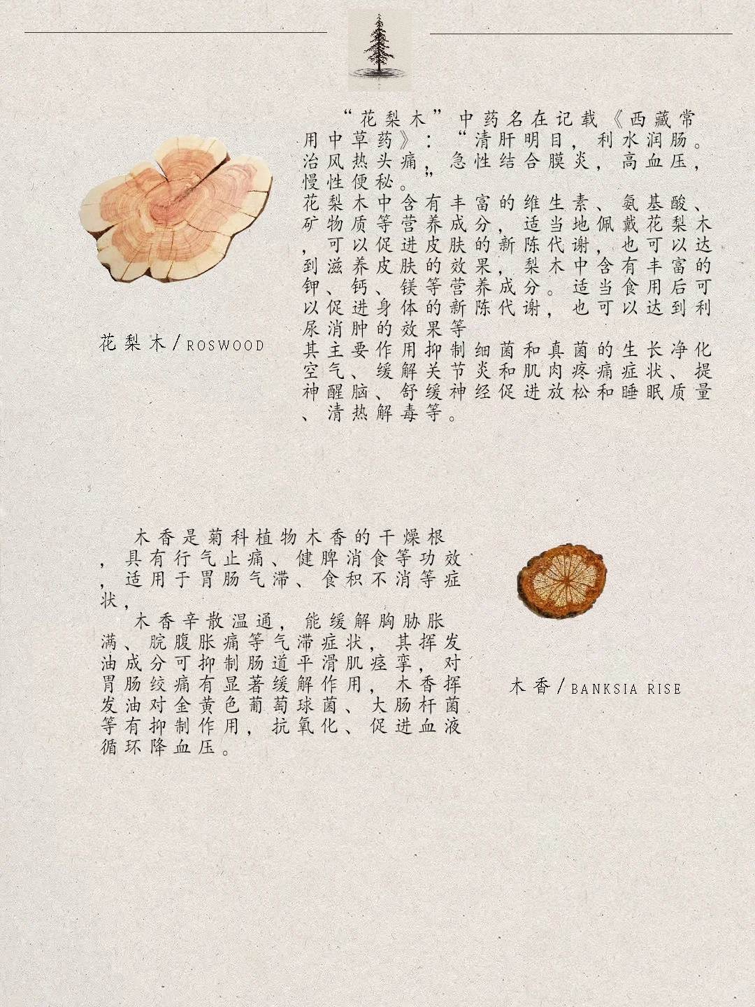 几种常见的木质香,很治愈~