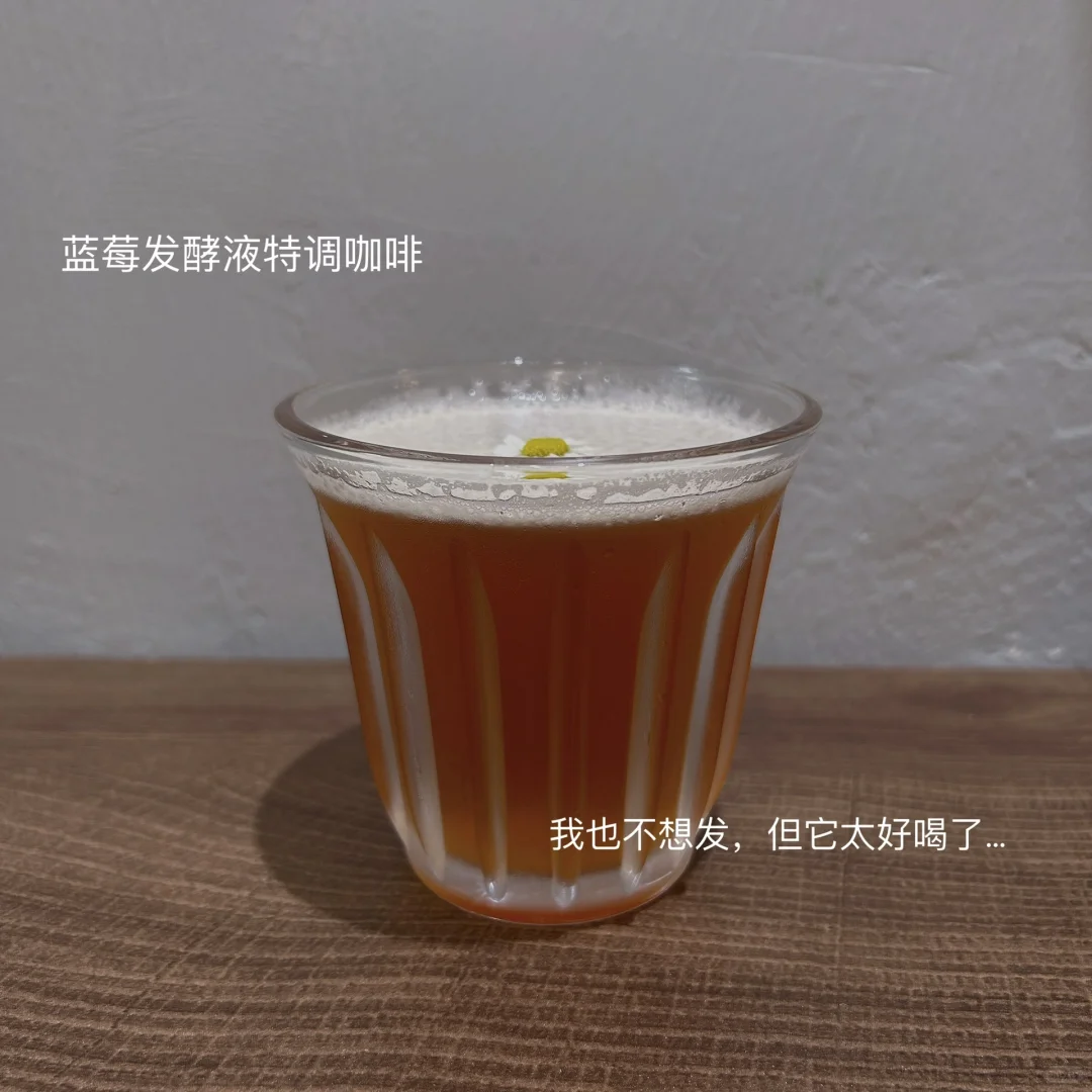 夏天快乐+10000，蓝莓发酵液做起来