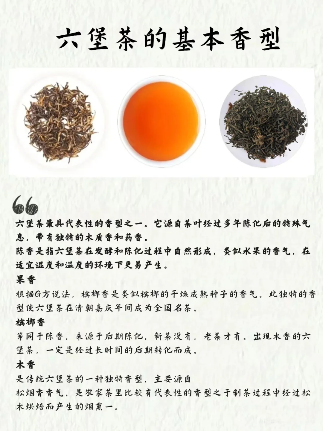盘点六堡茶常见的几种香型，你喝过几种？