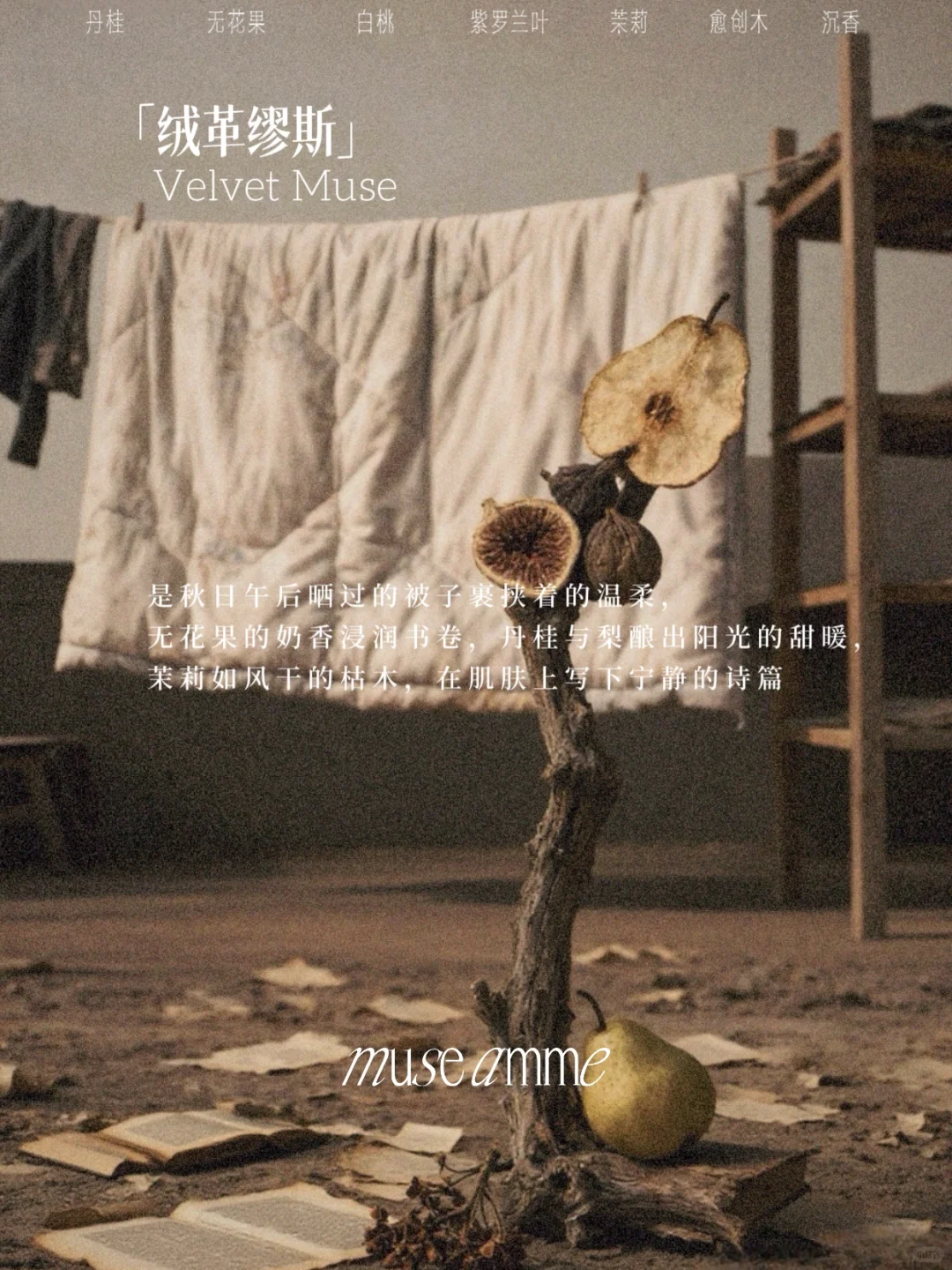 和缪斯的香型盲选之旅开始啦～