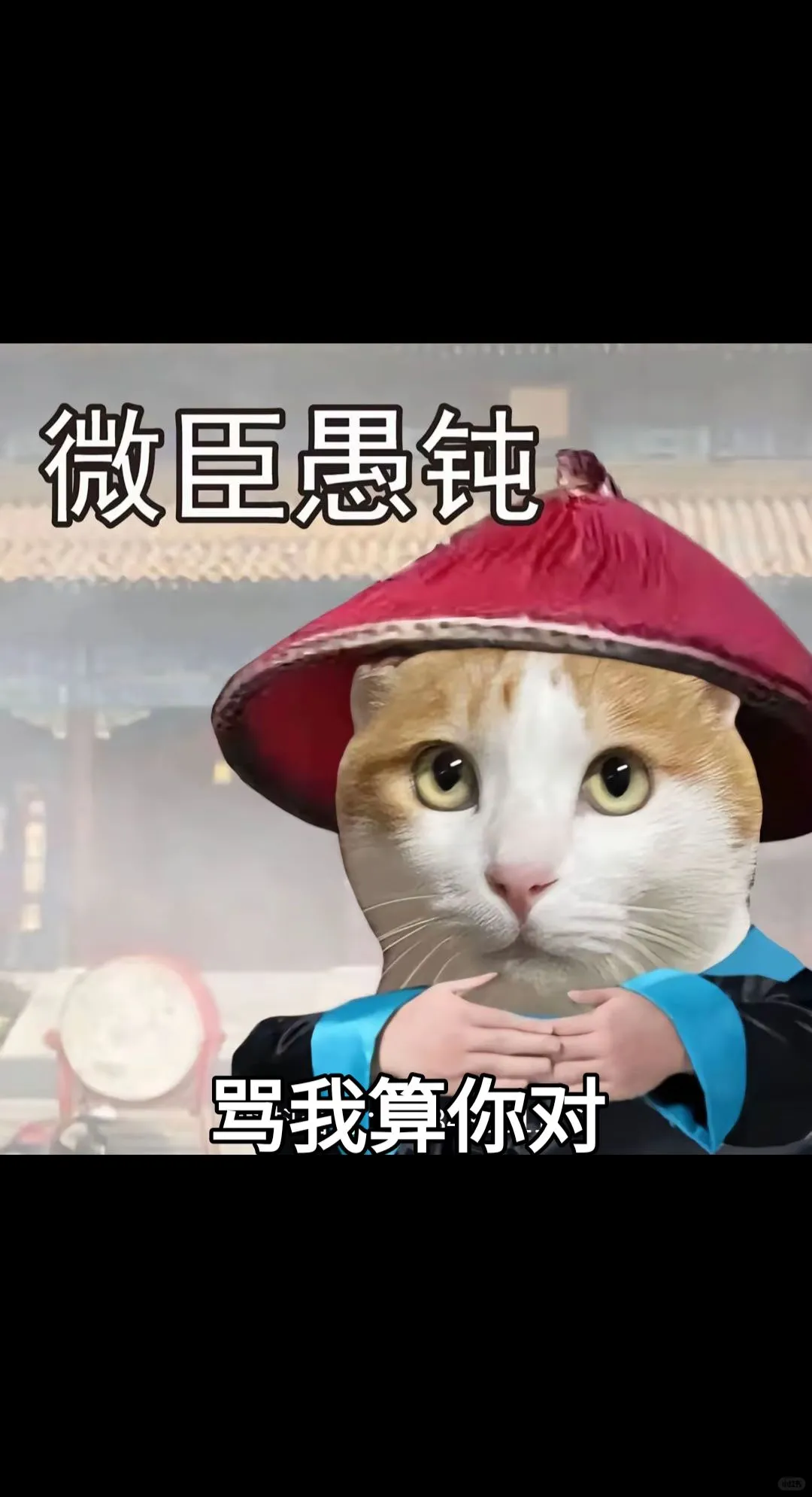 ☕️【实验室Plog1｜固体饮料研发的一天