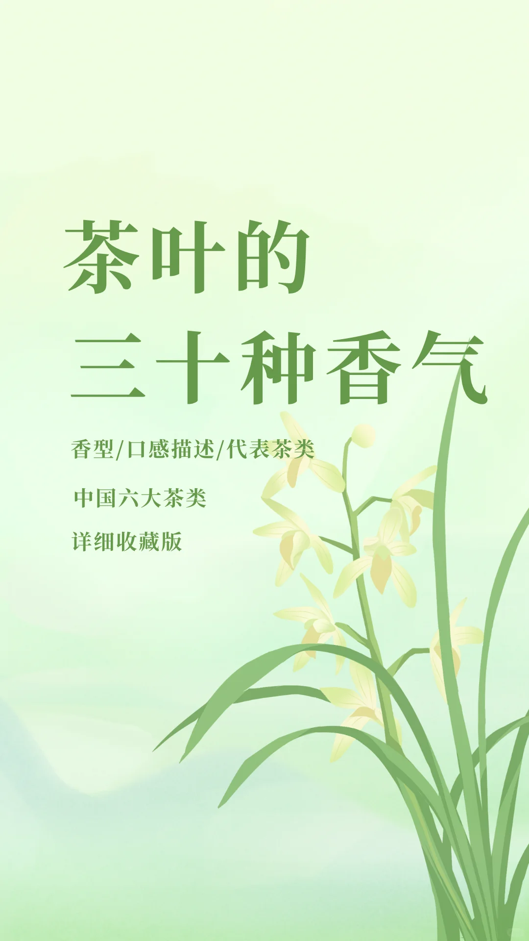 ?中国茶文化|茶知识 常见茶叶的三十种香气