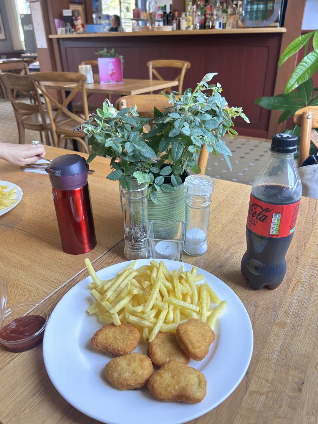 在阿尔卑斯山脚下体验一下最好喝的可乐