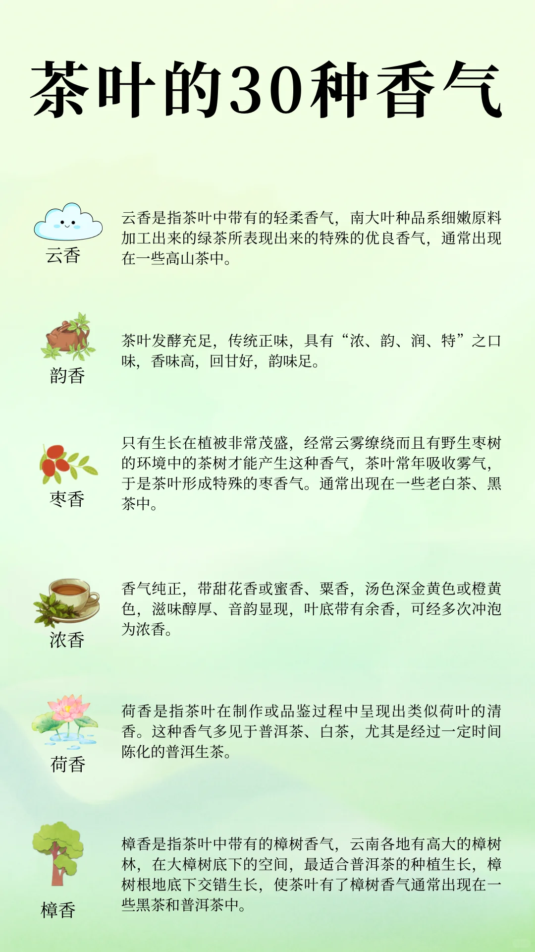 ?中国茶文化|茶知识 常见茶叶的三十种香气