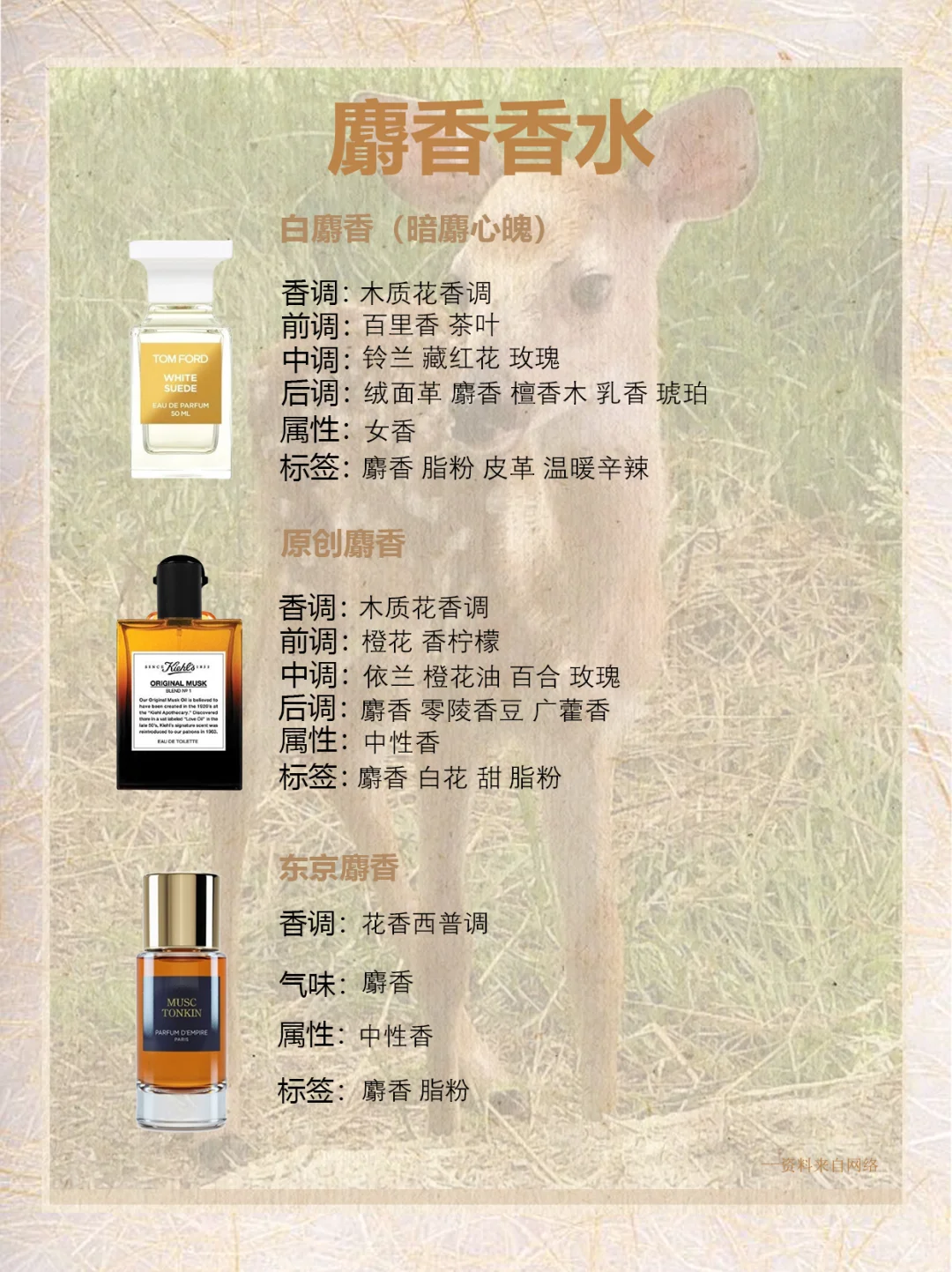 每天认识一种香料|麝香