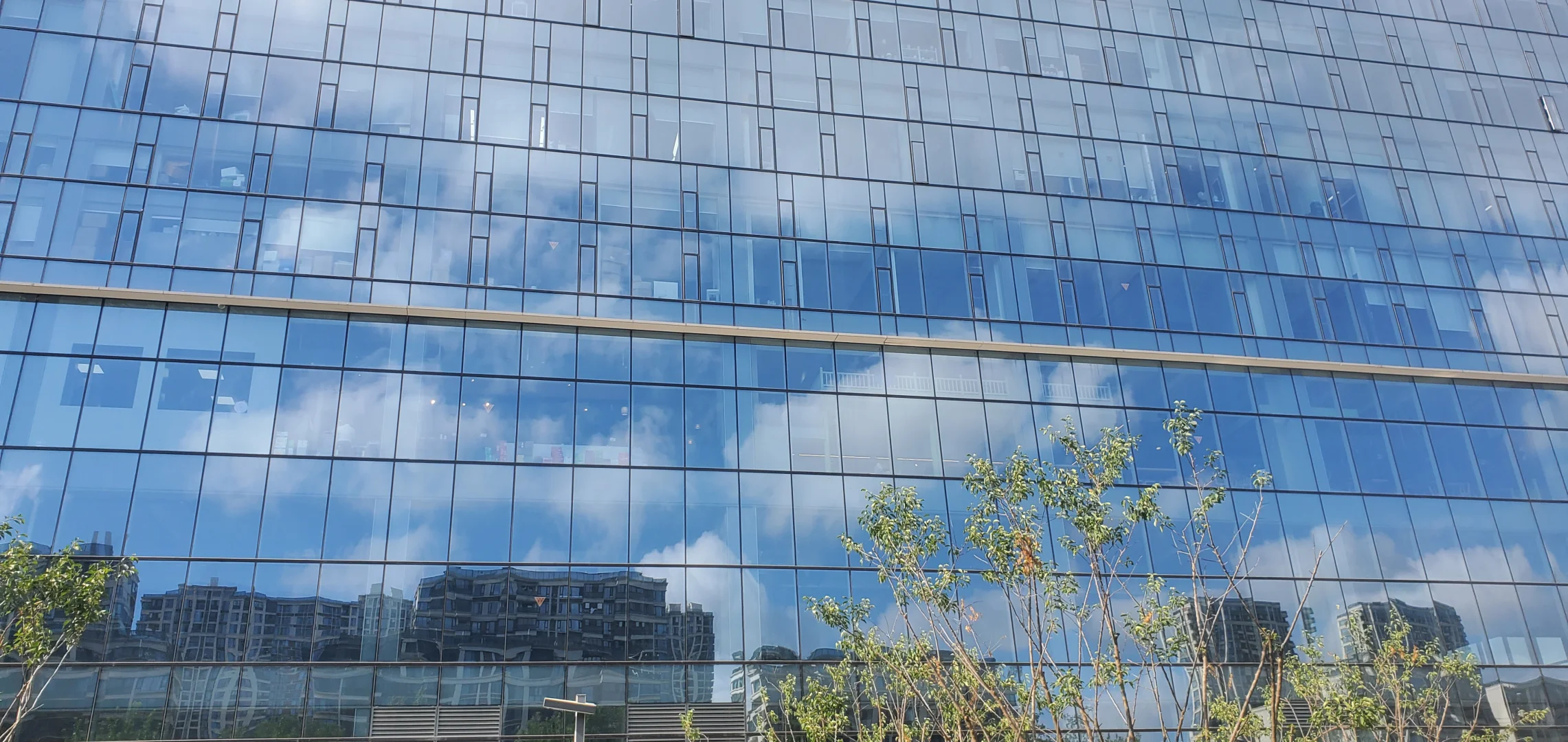 ☕️【实验室Plog1｜固体饮料研发的一天