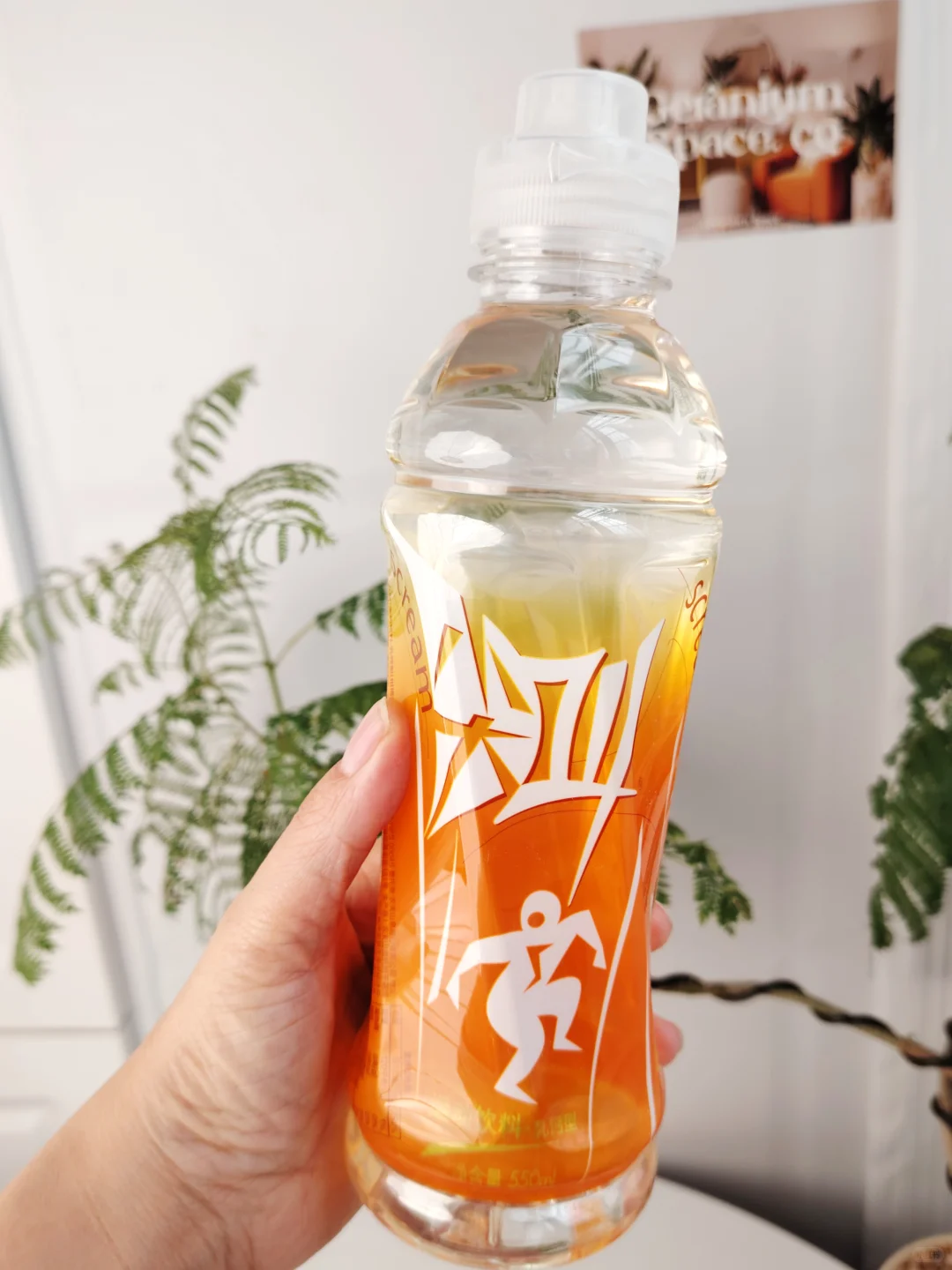 这瓶橙尖叫，成了我们舞蹈队的团宠