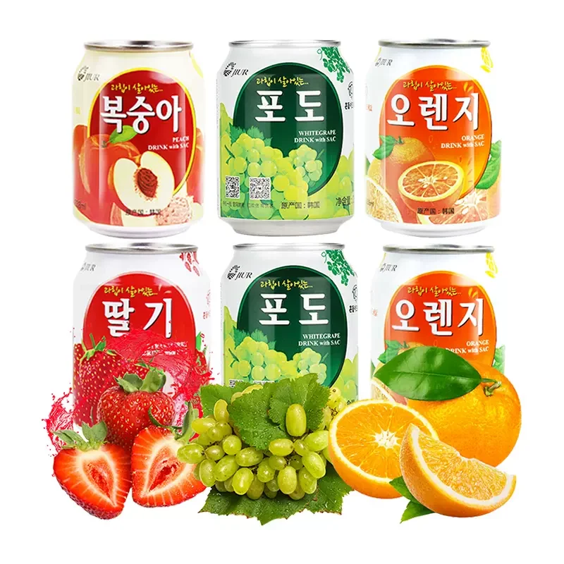 进口饮料九日多口味果肉果汁238ml*6罐露营