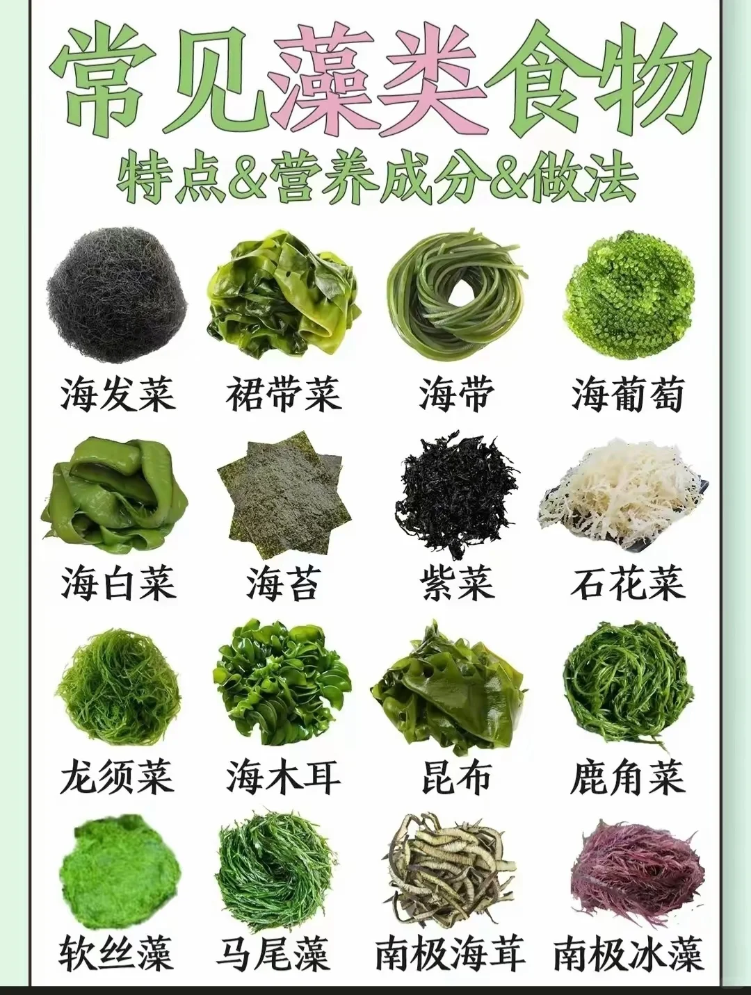 藻类食材