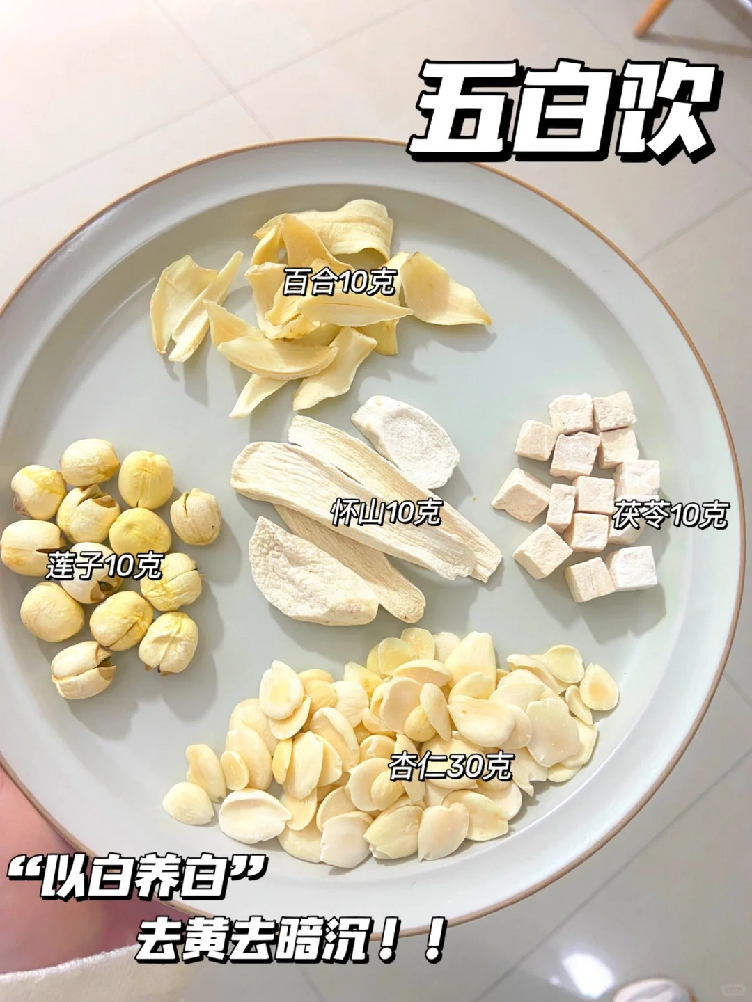 ?五白饮|清肺润脾 祛黄气是真的腻害‼️‼️