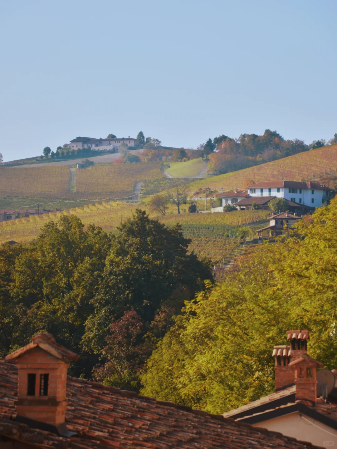 ?? 在意大利最佳葡萄酒产区爽爽喝酒