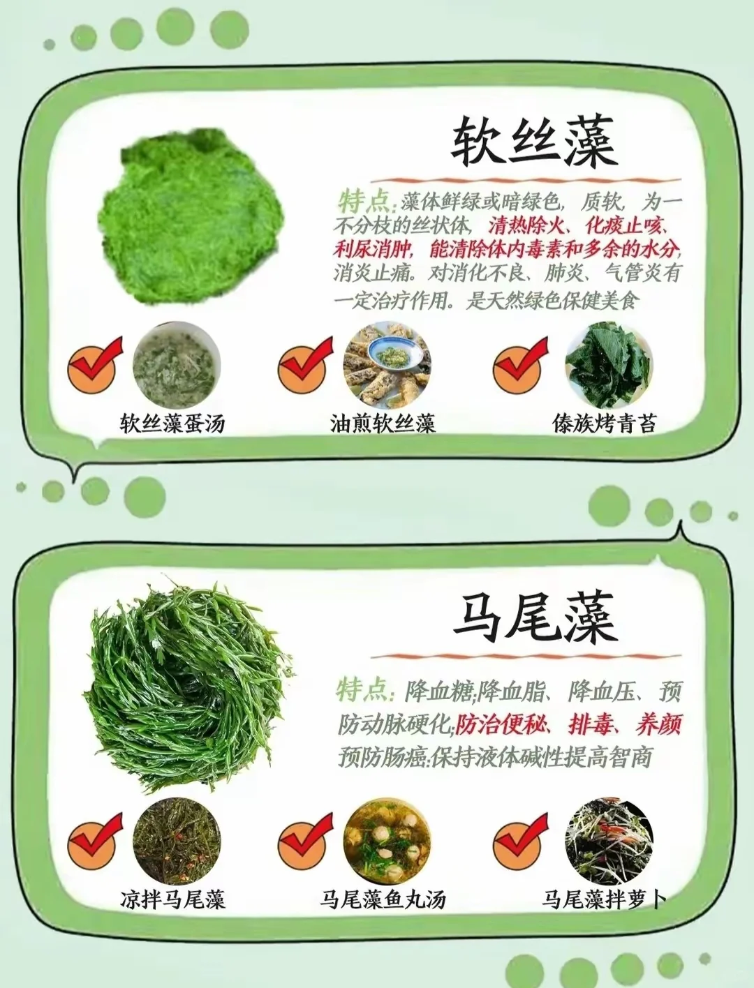 藻类食材