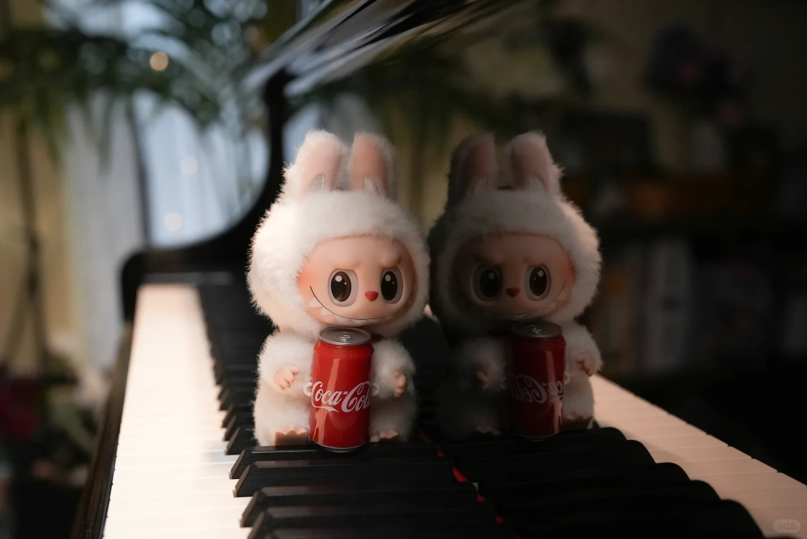 我觉得可乐款labubu颜值最能打｜摄影日常