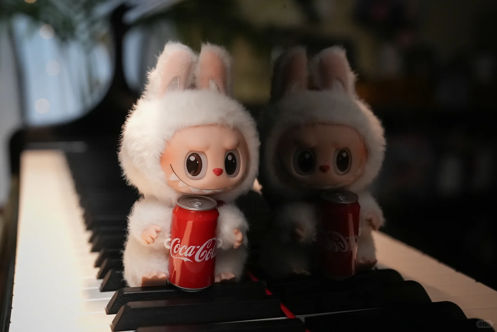 我觉得可乐款labubu颜值最能打｜摄影日常