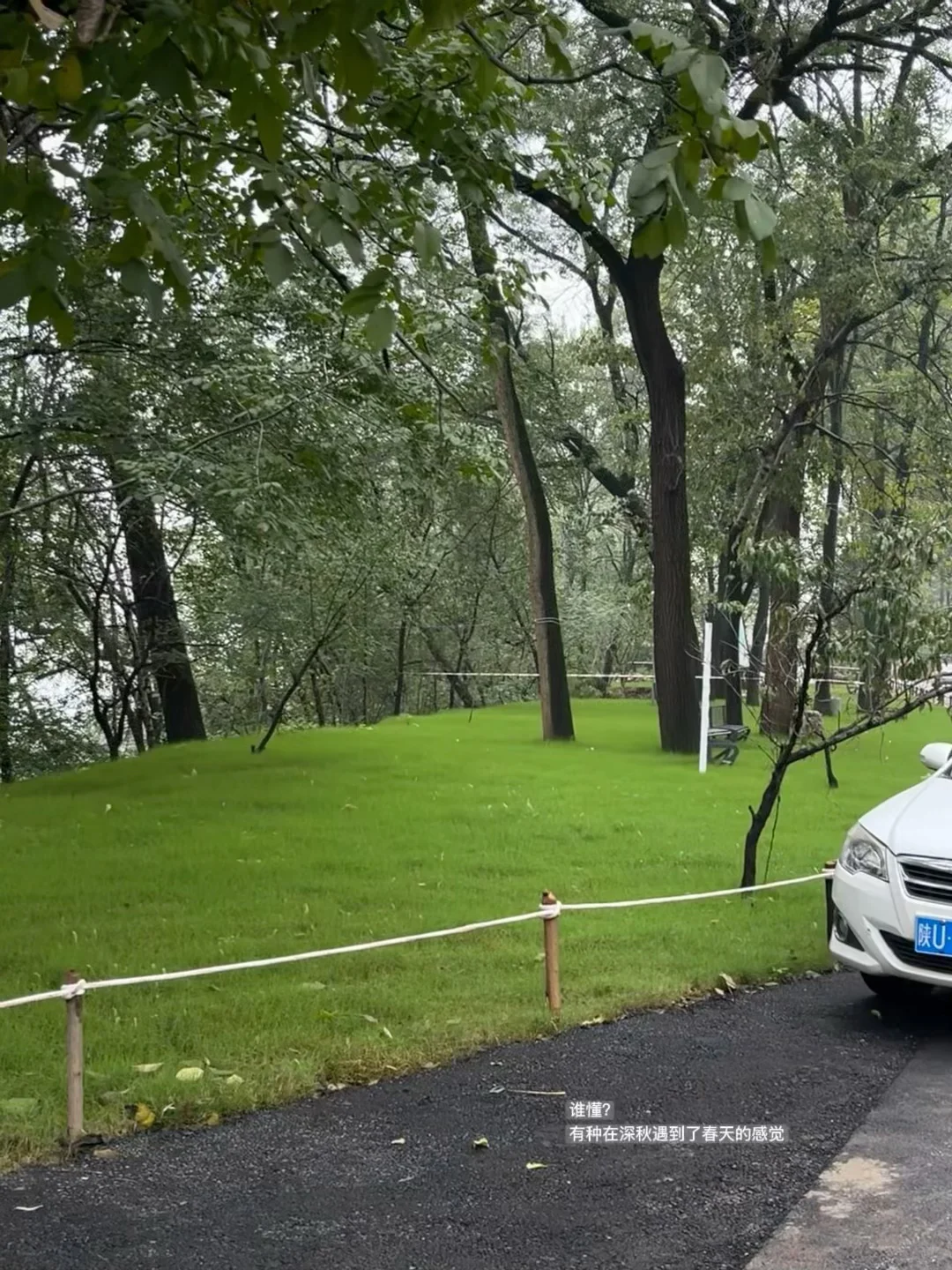 攒奶?钱第8天 | 把生活过成治愈系