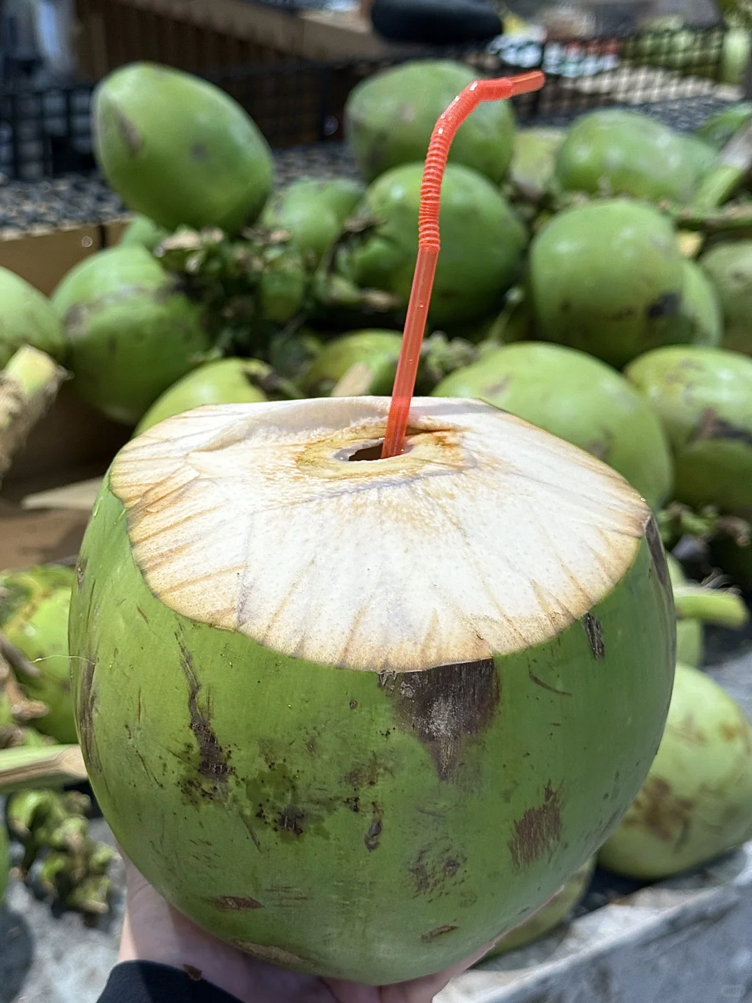 不到一杯奶茶钱就可以在菜市场喝到青皮椰?