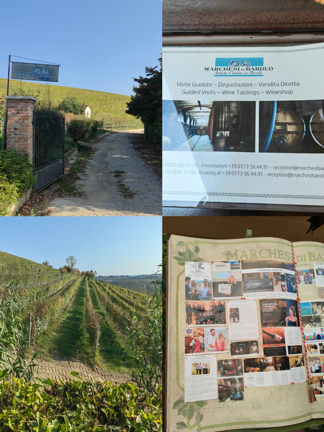 ?? 在意大利最佳葡萄酒产区爽爽喝酒