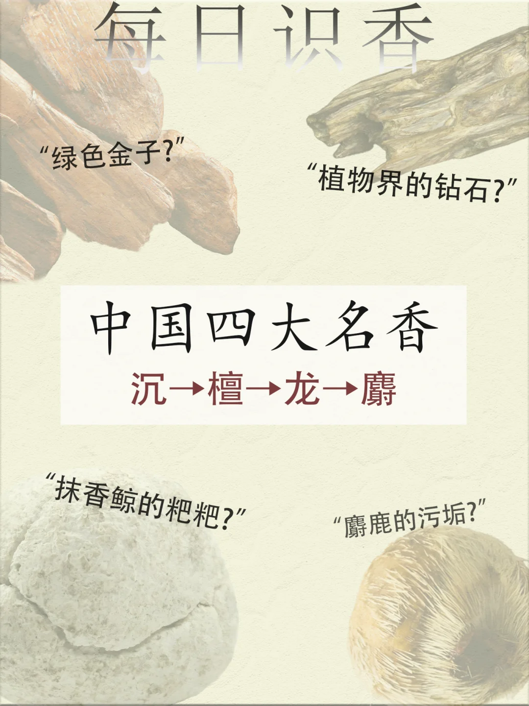 一篇了解中国四大名香，秒变识香达人✅