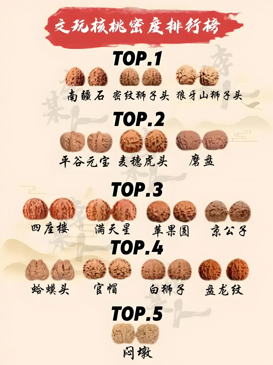 不同密度核桃对比图 + 纹路细节特写