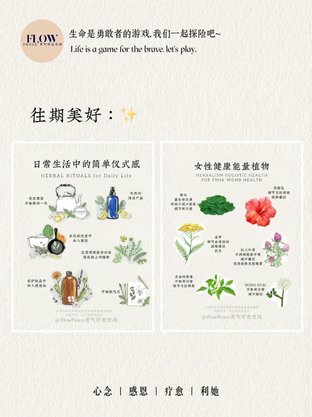 自然疗愈｜?自制能量姜汁汽水