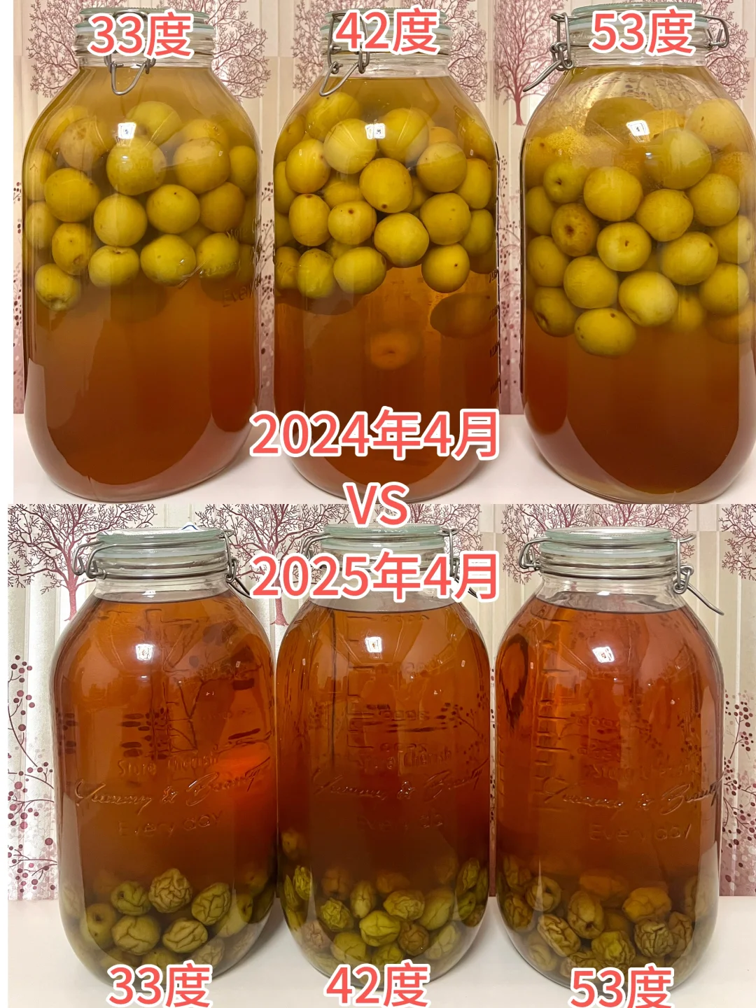 2024年泡的青梅酒都很成功。/附加干货分享