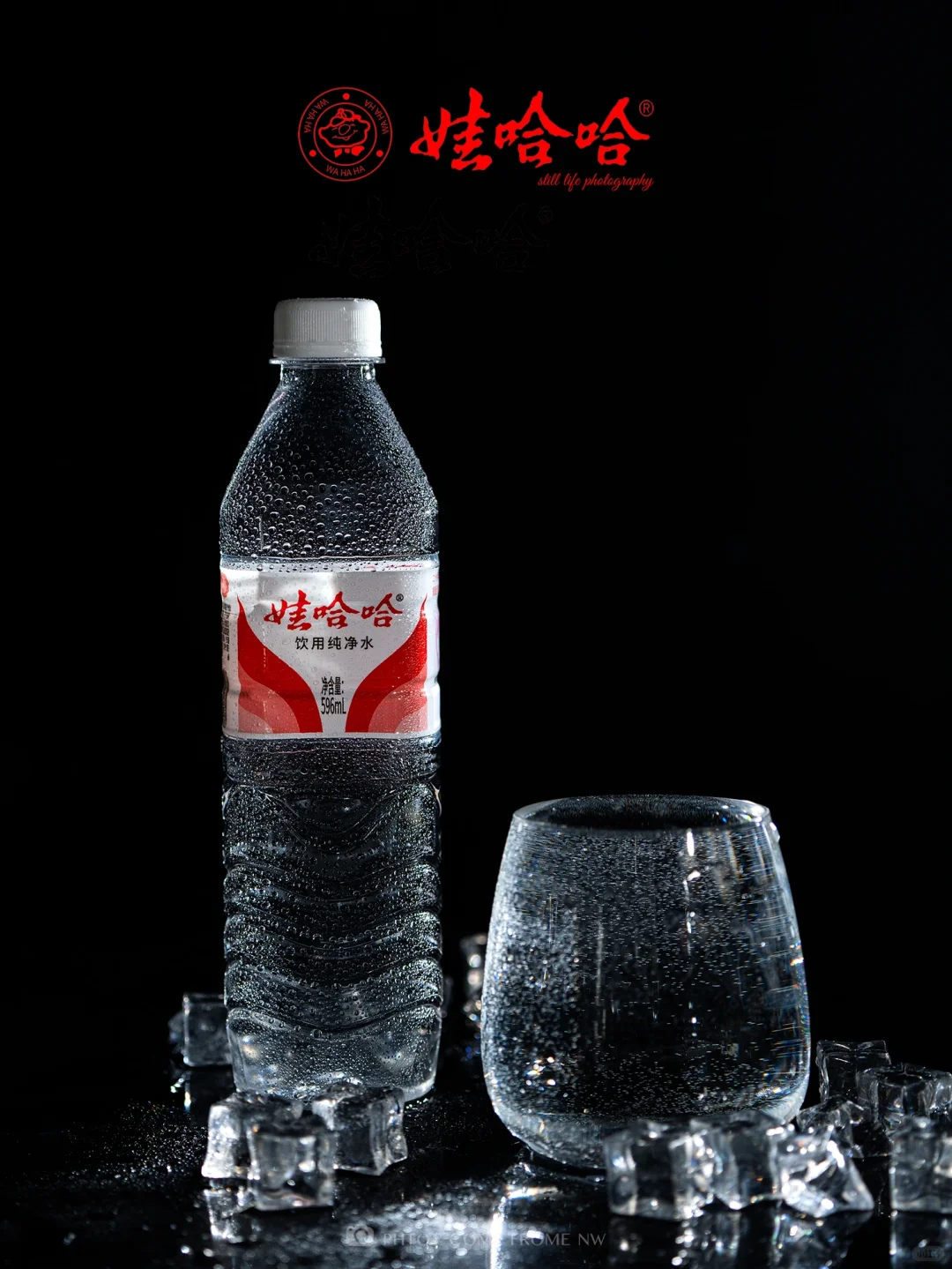 静物摄影丨娃哈哈