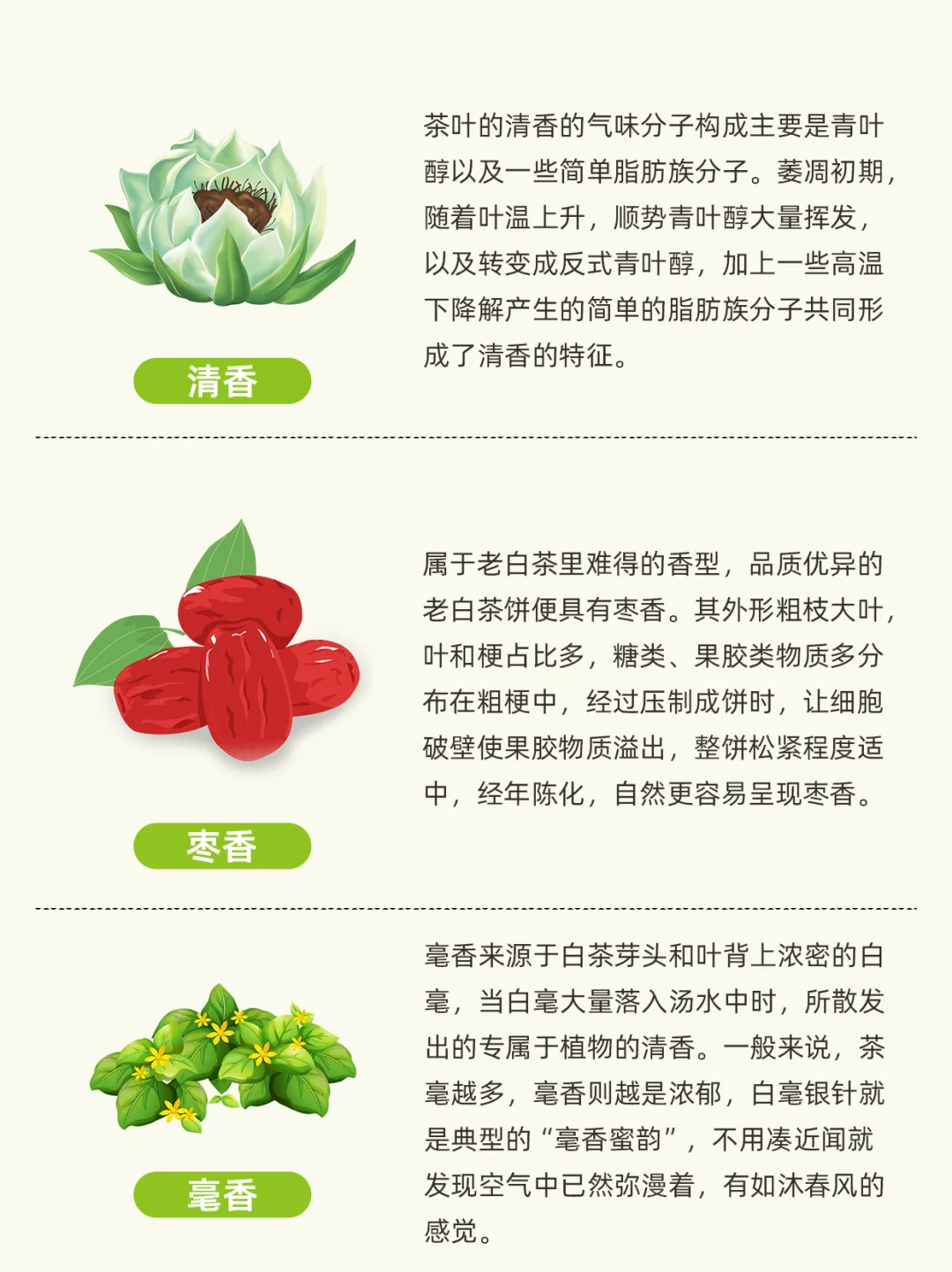 白茶常见的9种香型，看看你喝过几个？