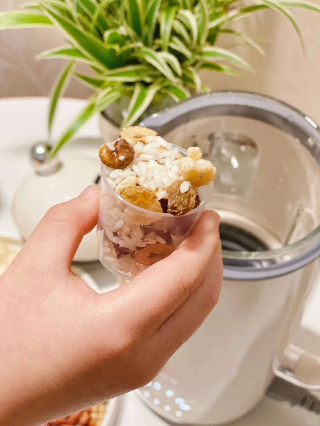 399?破壁机的快乐雷小蒙让我get到❗️