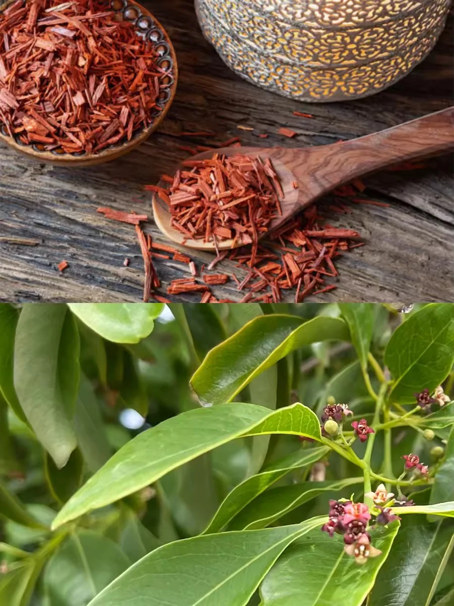 今日识香｜『檀香』中国四大名香之一‼️