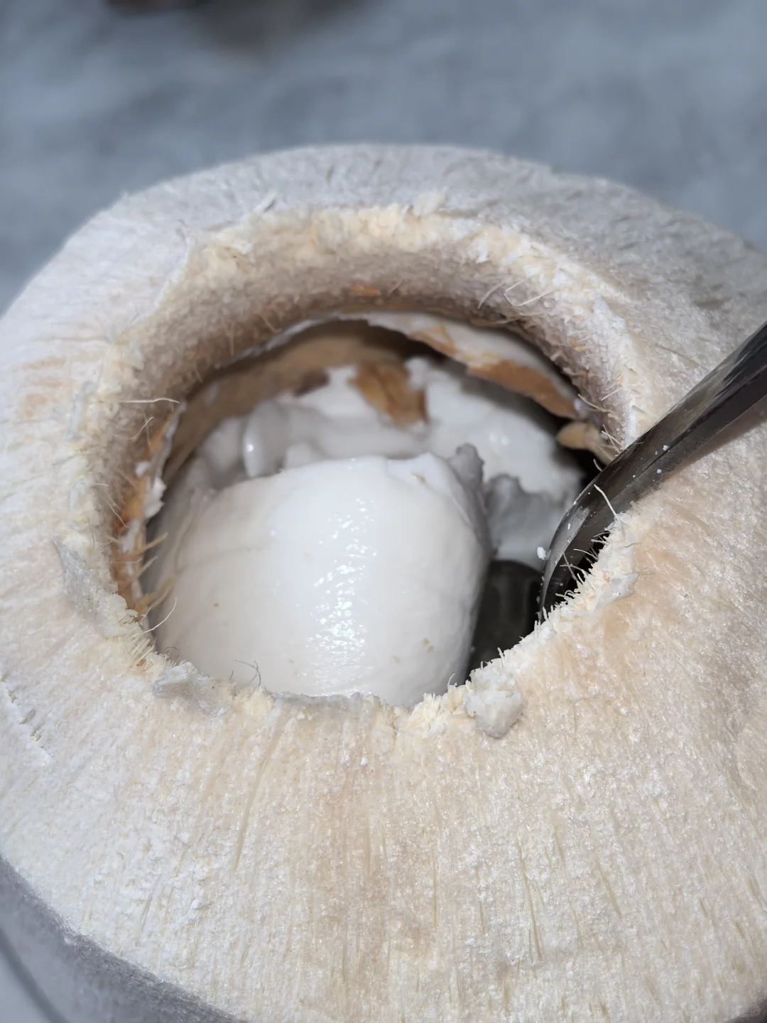 18周的小小仪式感|和宝宝共享的第一口椰香