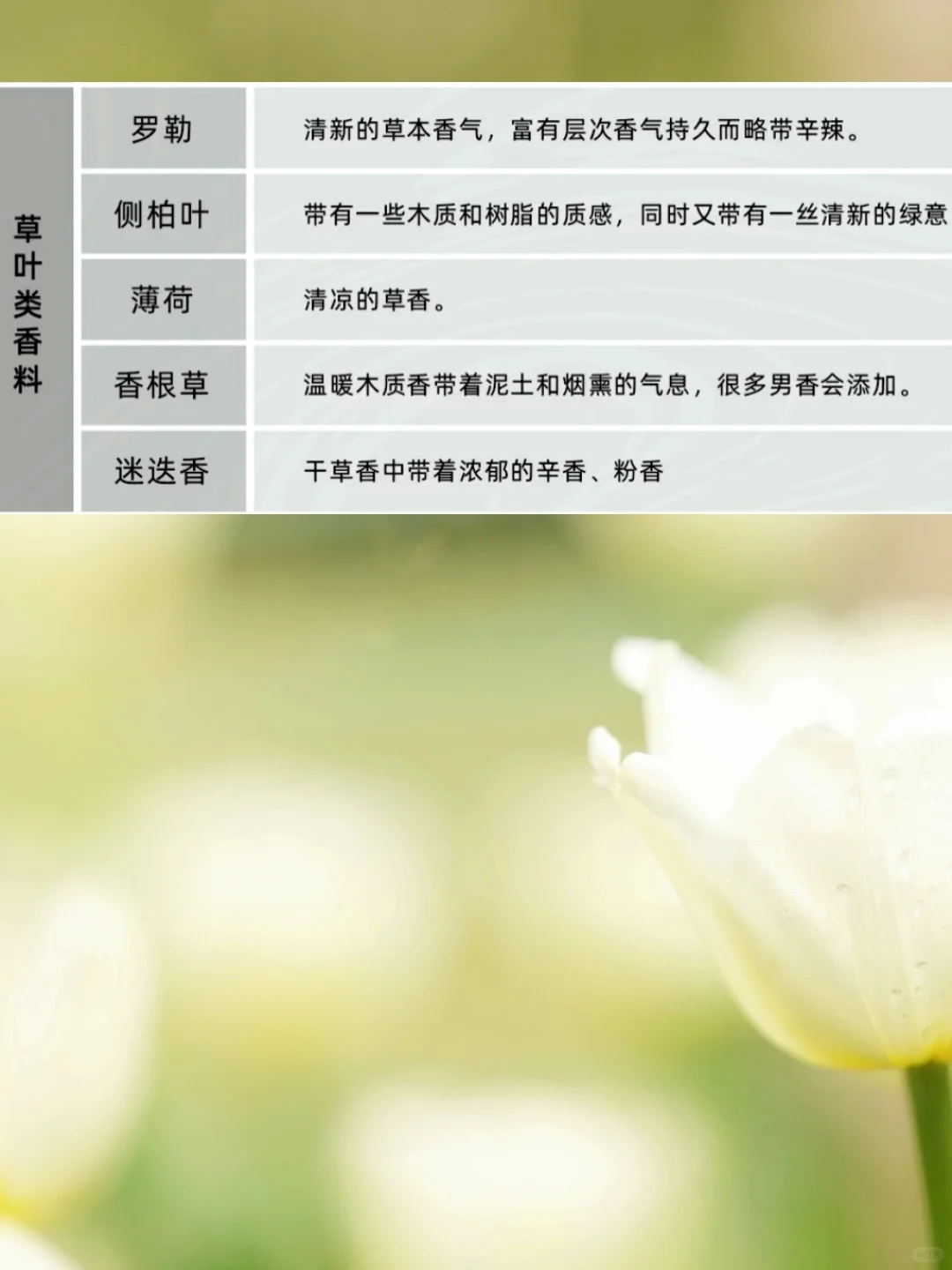 香门选手必须知道的常见香水香料表!!!阿门