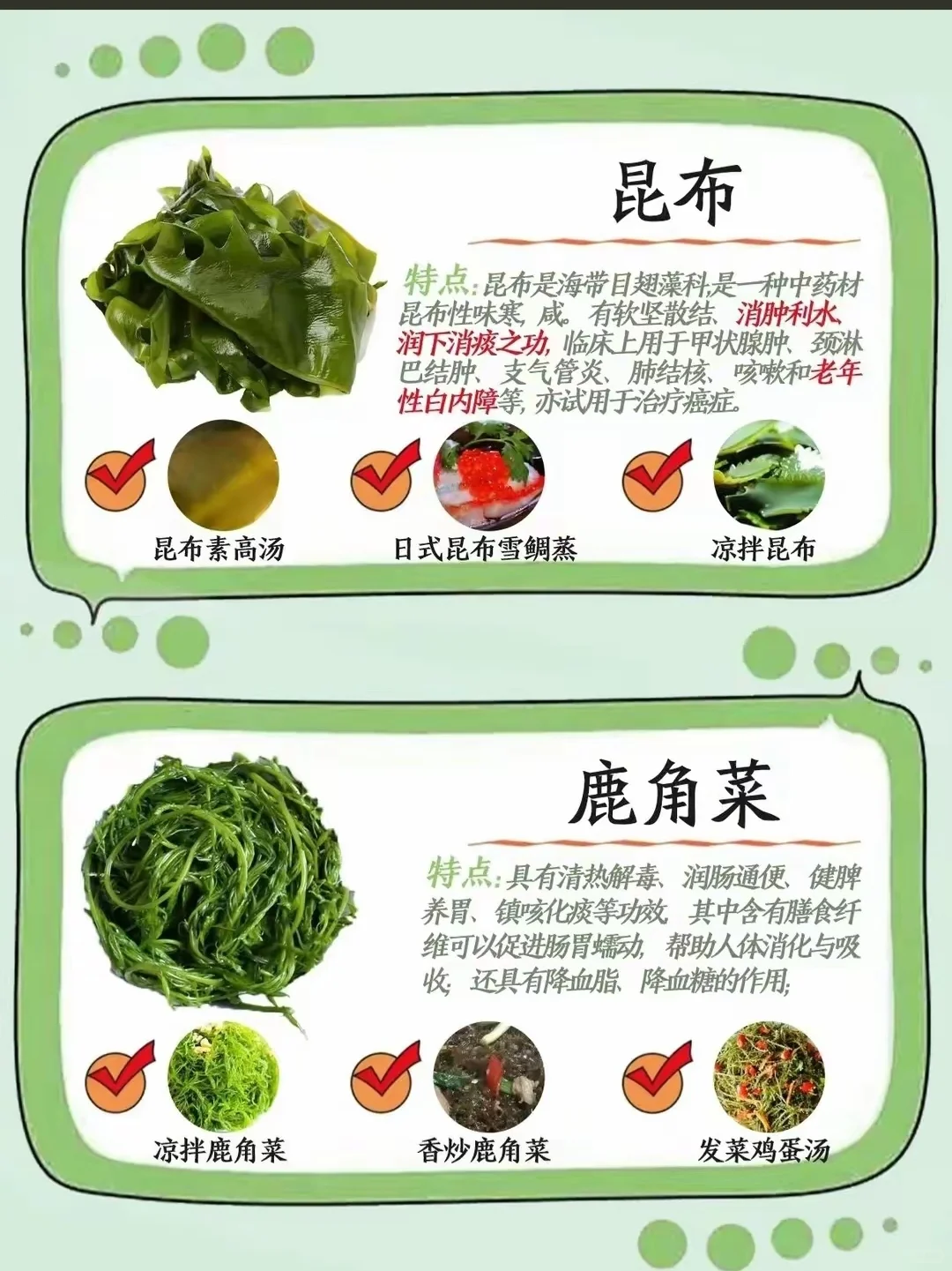 藻类食材