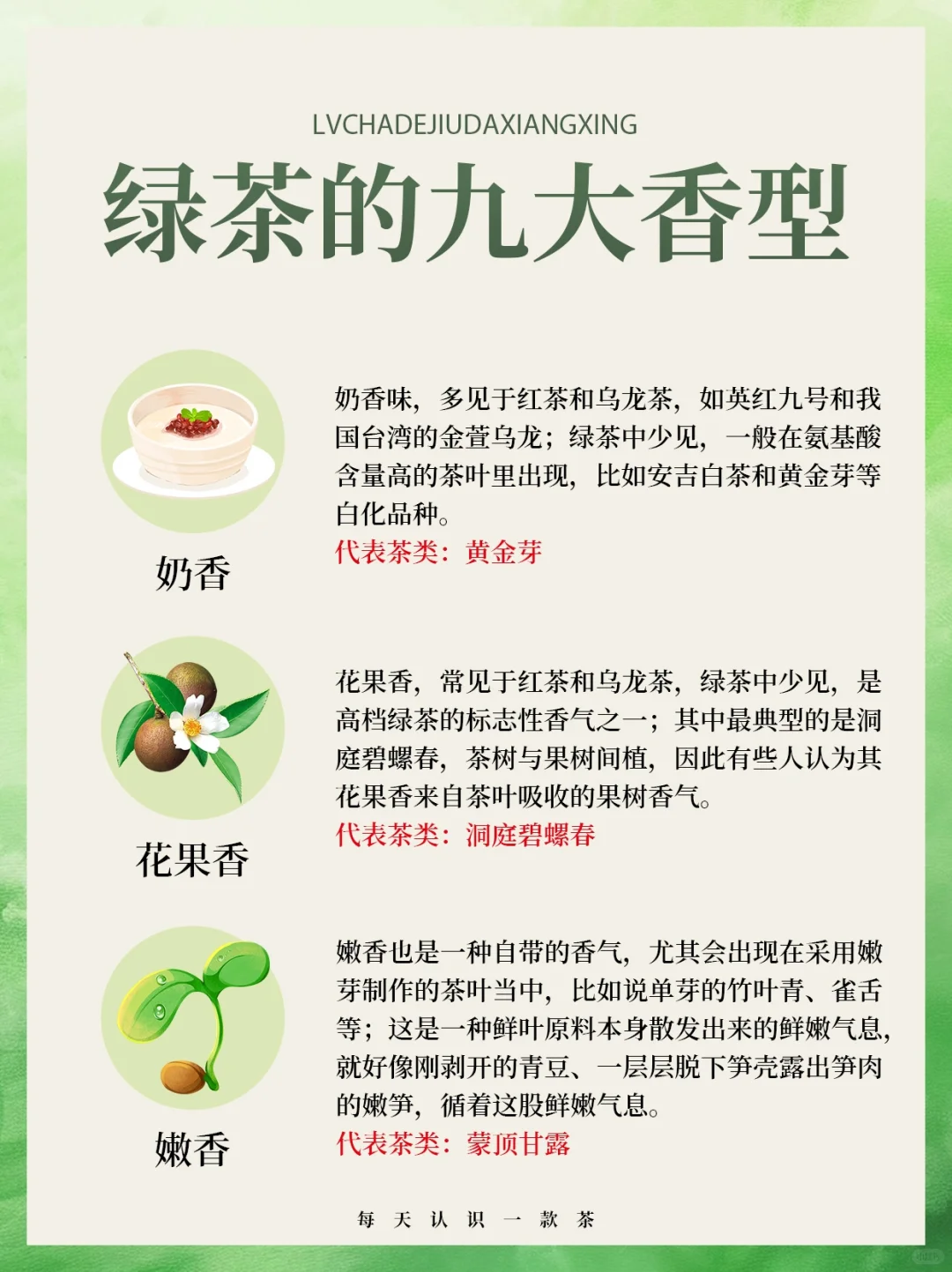 茶知识｜绿茶的九大香型?