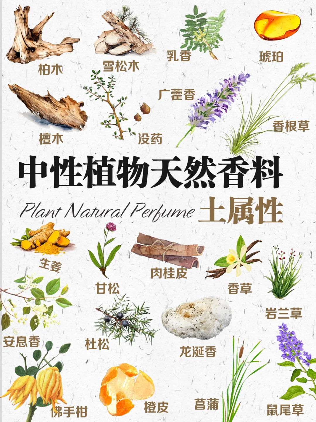⛰️二十款适合土属性天然香味