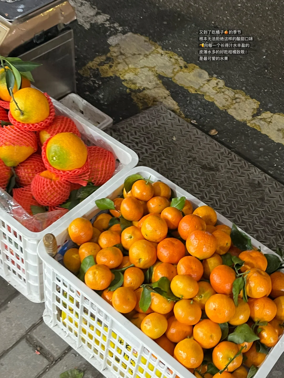 攒奶?钱第8天 | 把生活过成治愈系