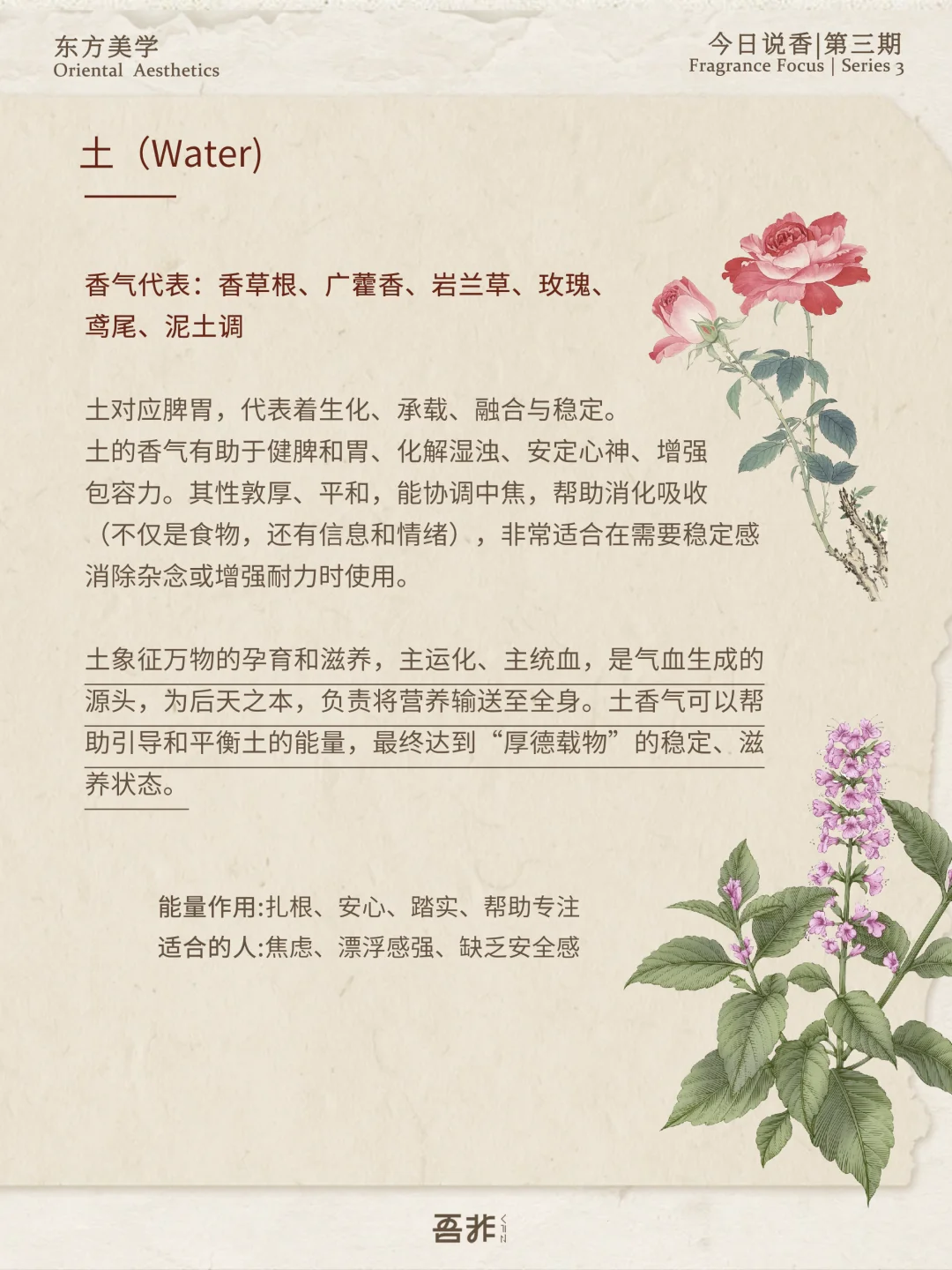 今日说香｜五行对应的植物香气～