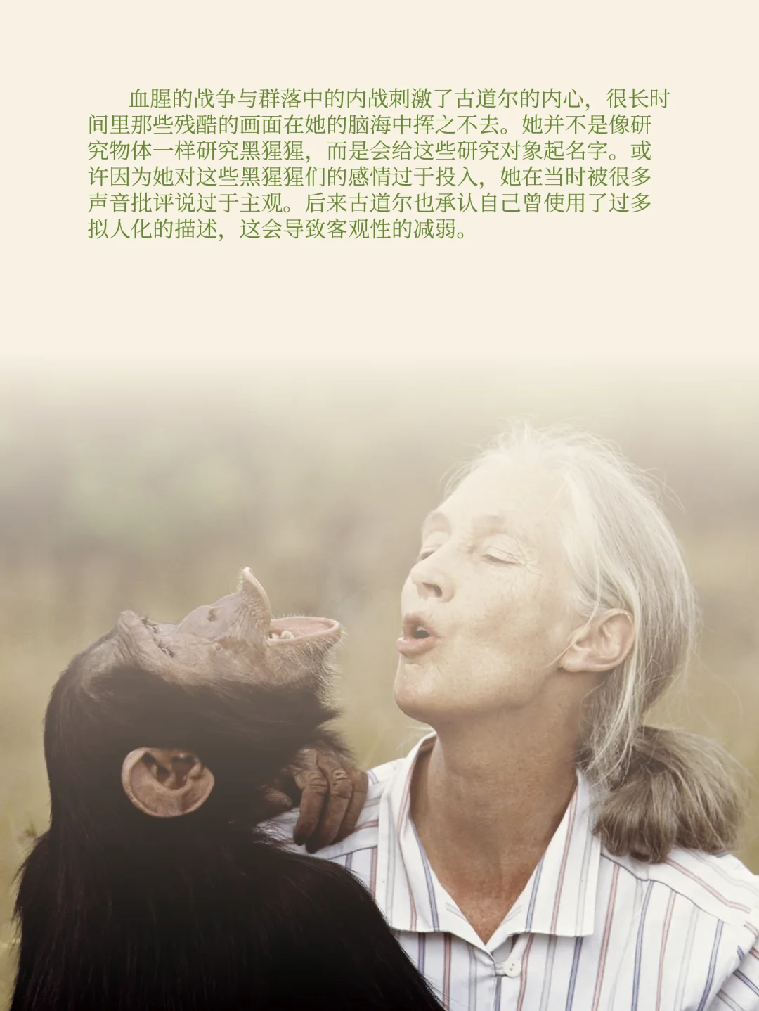 纪念珍·古道尔：卡萨克拉黑猩猩群落世系