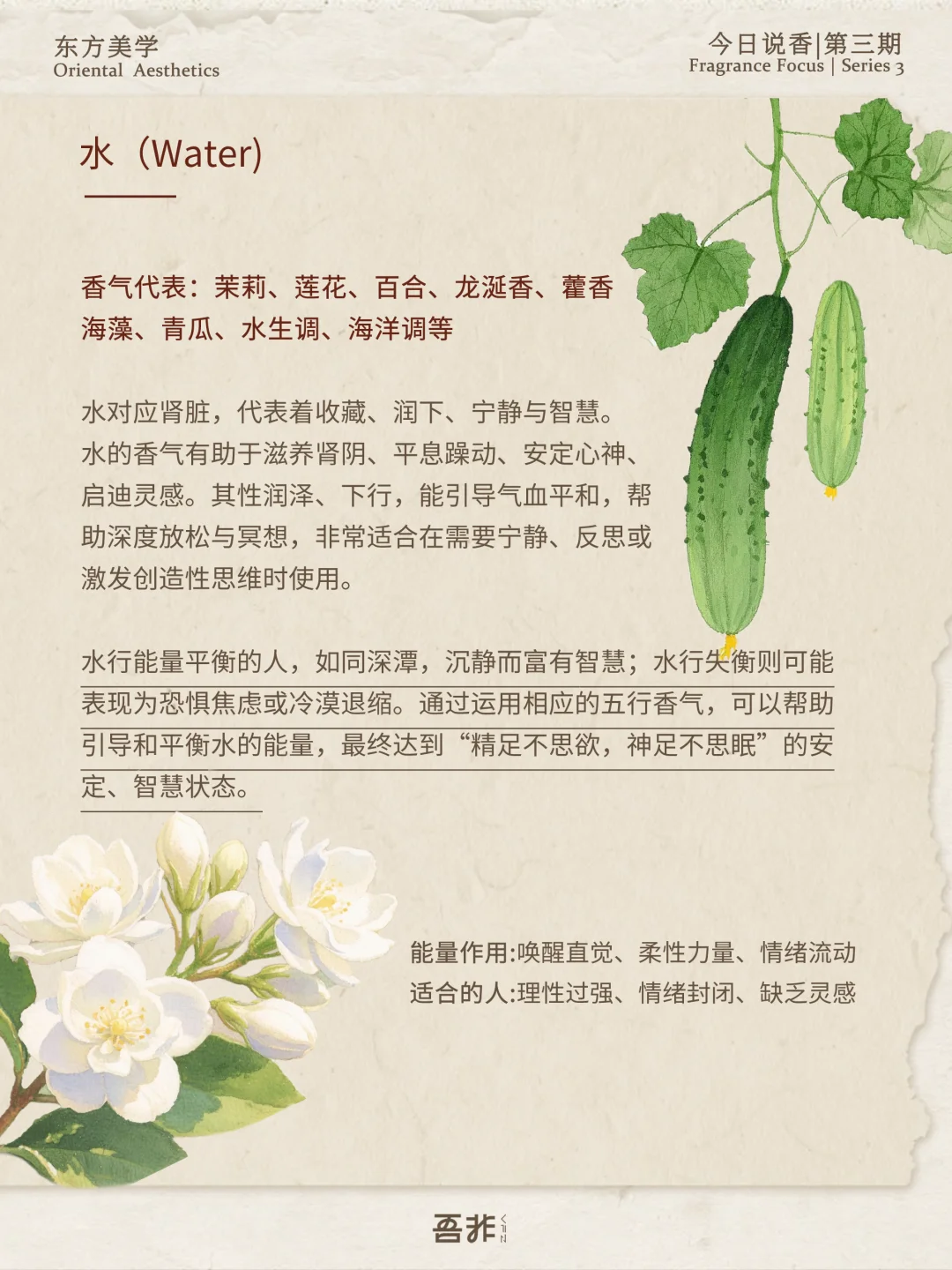 今日说香｜五行对应的植物香气～