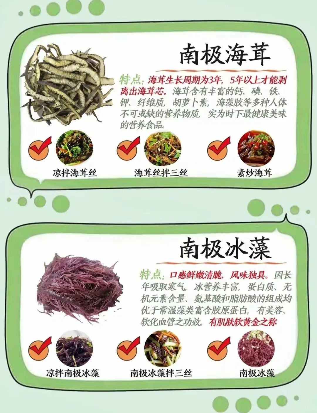 藻类食材