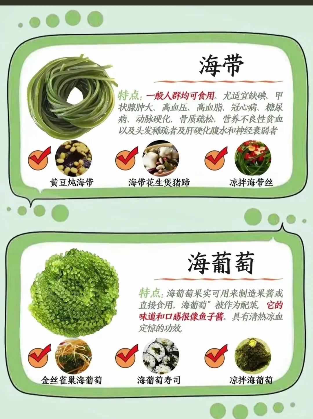 藻类食材