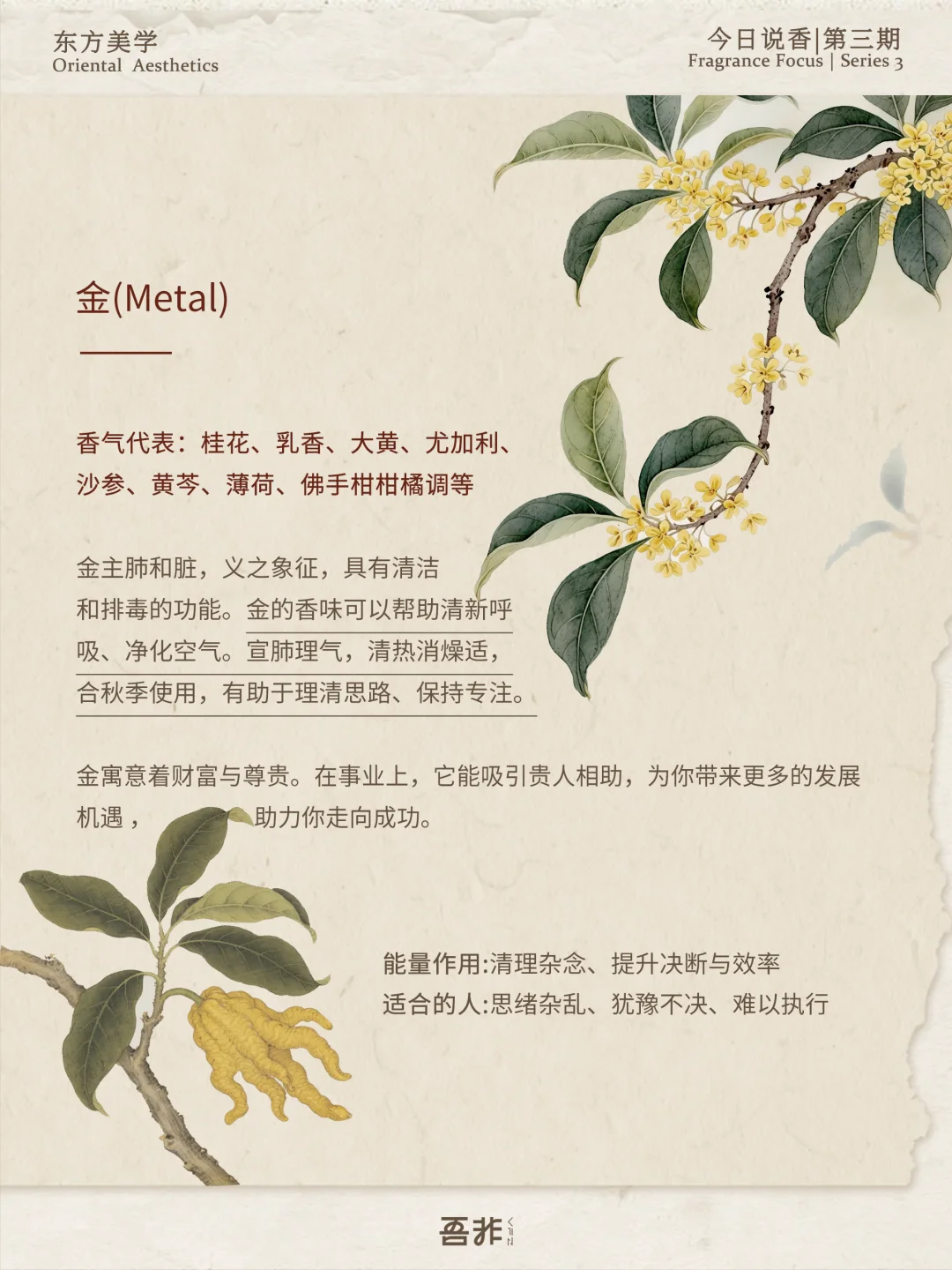 今日说香｜五行对应的植物香气～