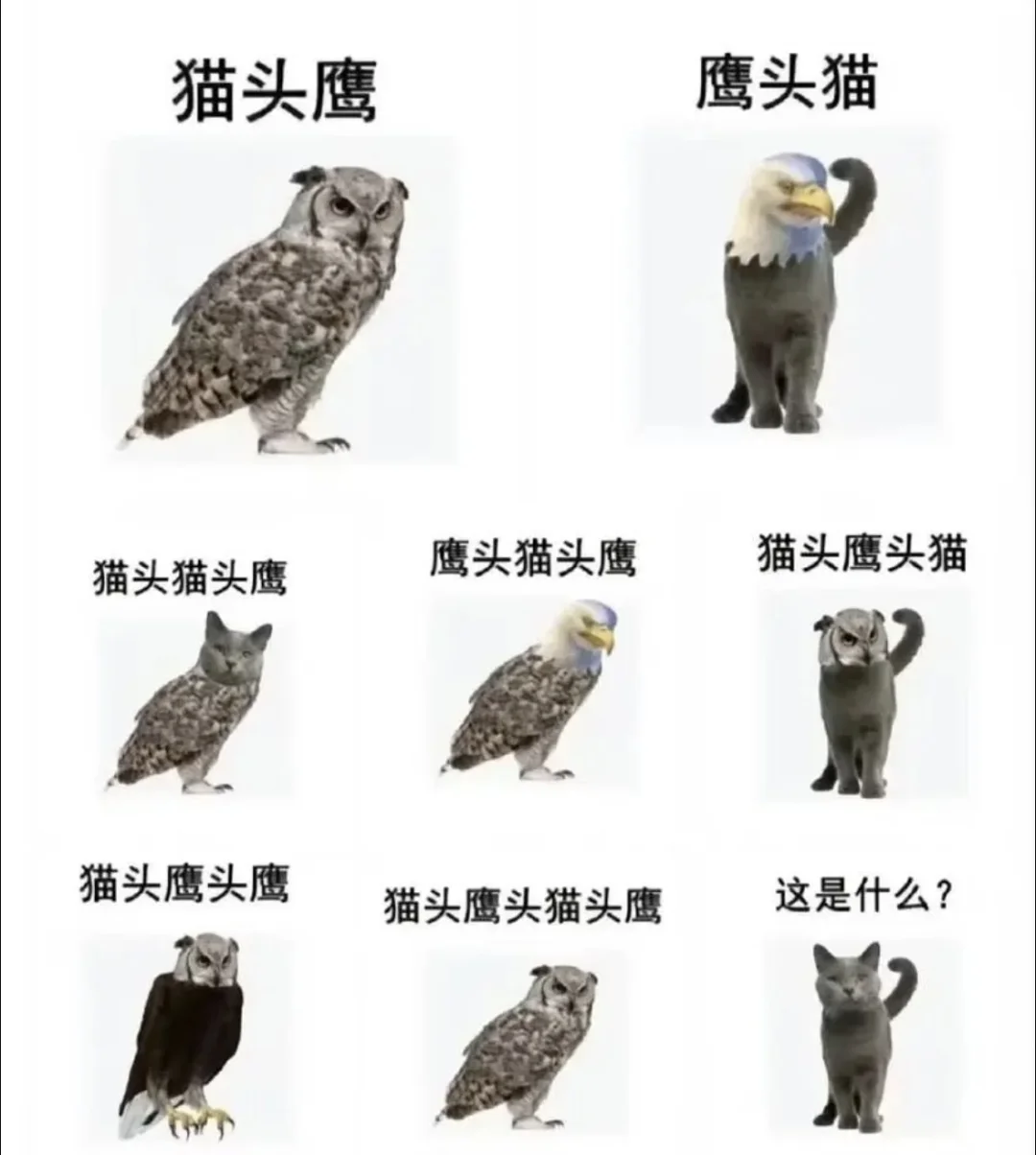 今日份meme：杏仁奶挤奶工？？？！