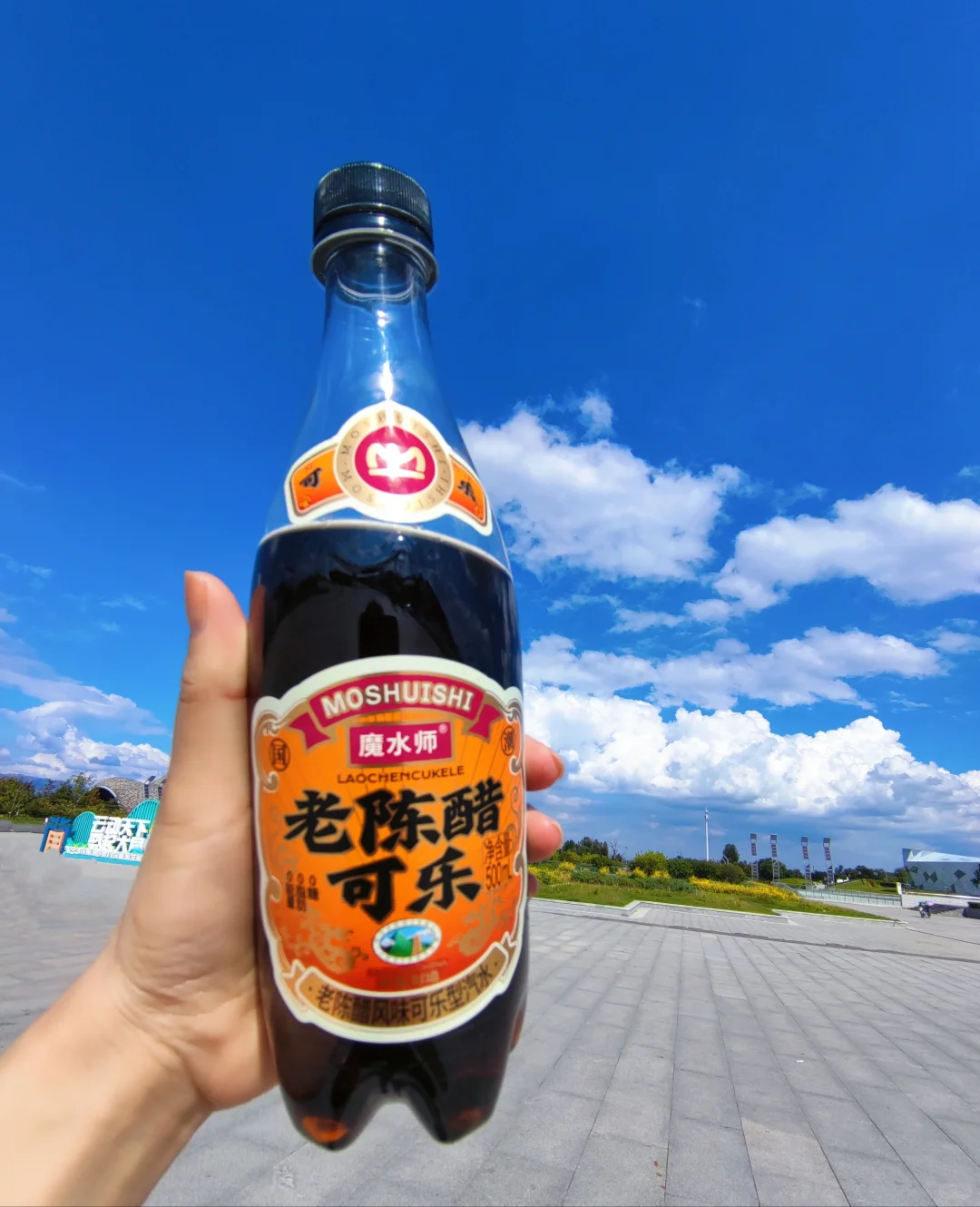 老陈醋可乐｜???