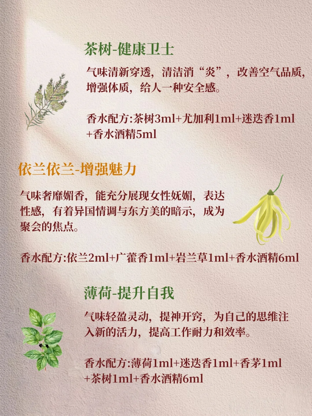 旺自己的9种精油香气 好运能量香气助你旺运